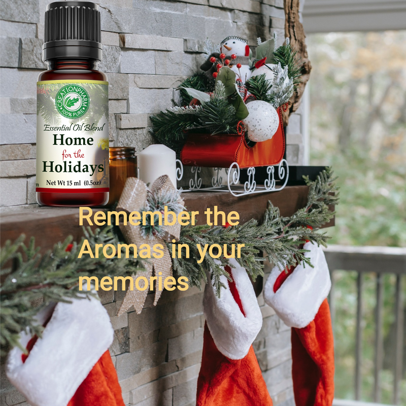 Home for the Holidays Aroma Oil Diffuser Blend 15 ml from Creation Pharm.