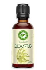 Eucalyptus Essential Oil from Creation Pharm - Creation Pharm