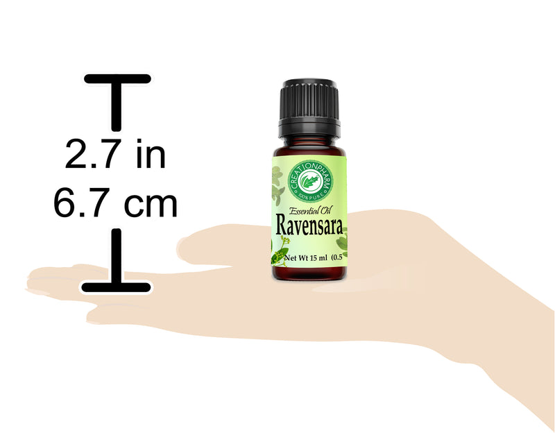 Ravensara Essential Oil 100% Pure Creation Pharm - Aceite esencial Ravensara - Creation Pharm